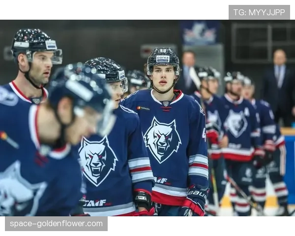 通讯：伤病潮下的逆袭——迈阿密热火再次以东部第七身份闯入季后赛